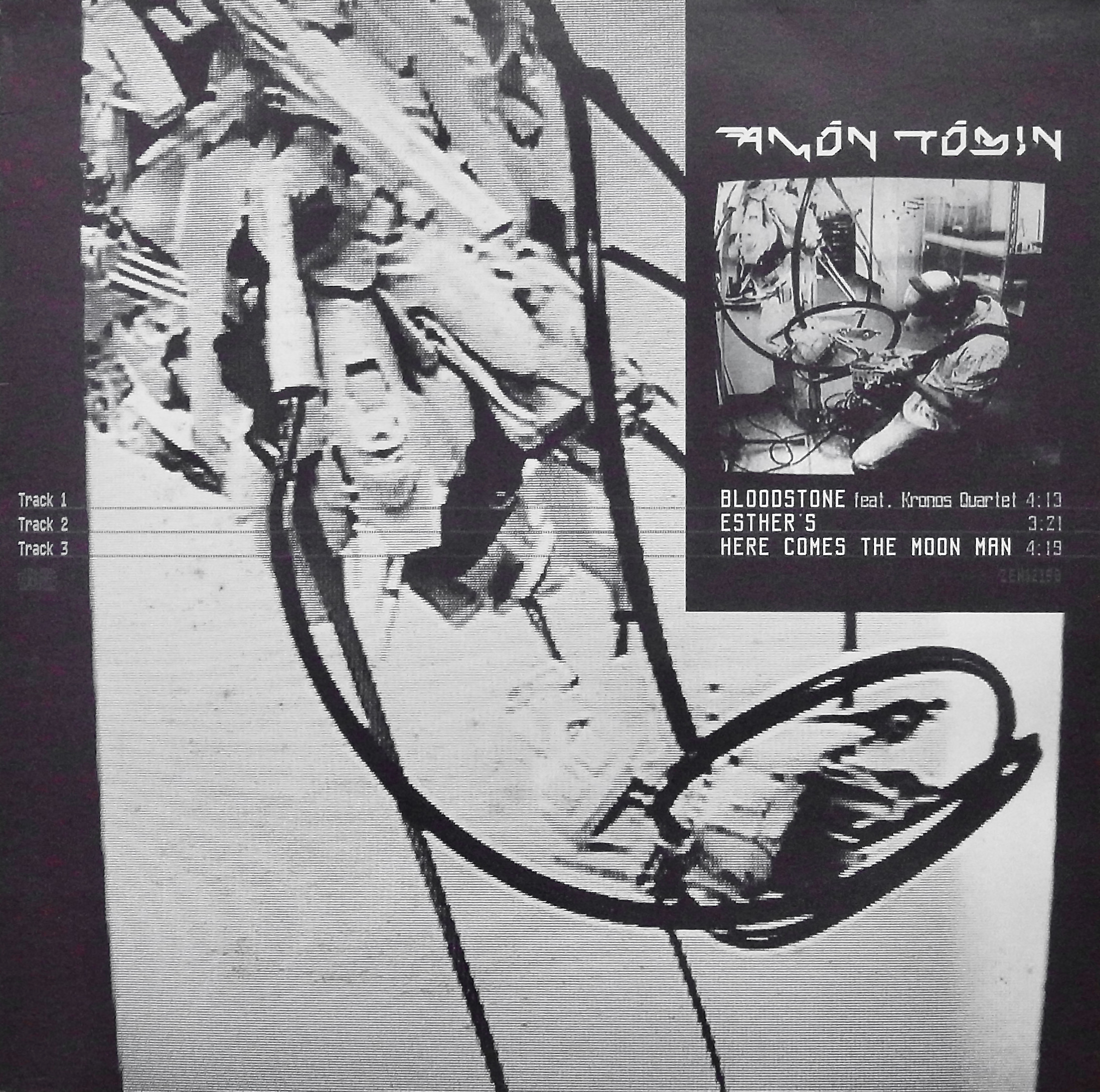 AMON TOBIN / Bloodstone