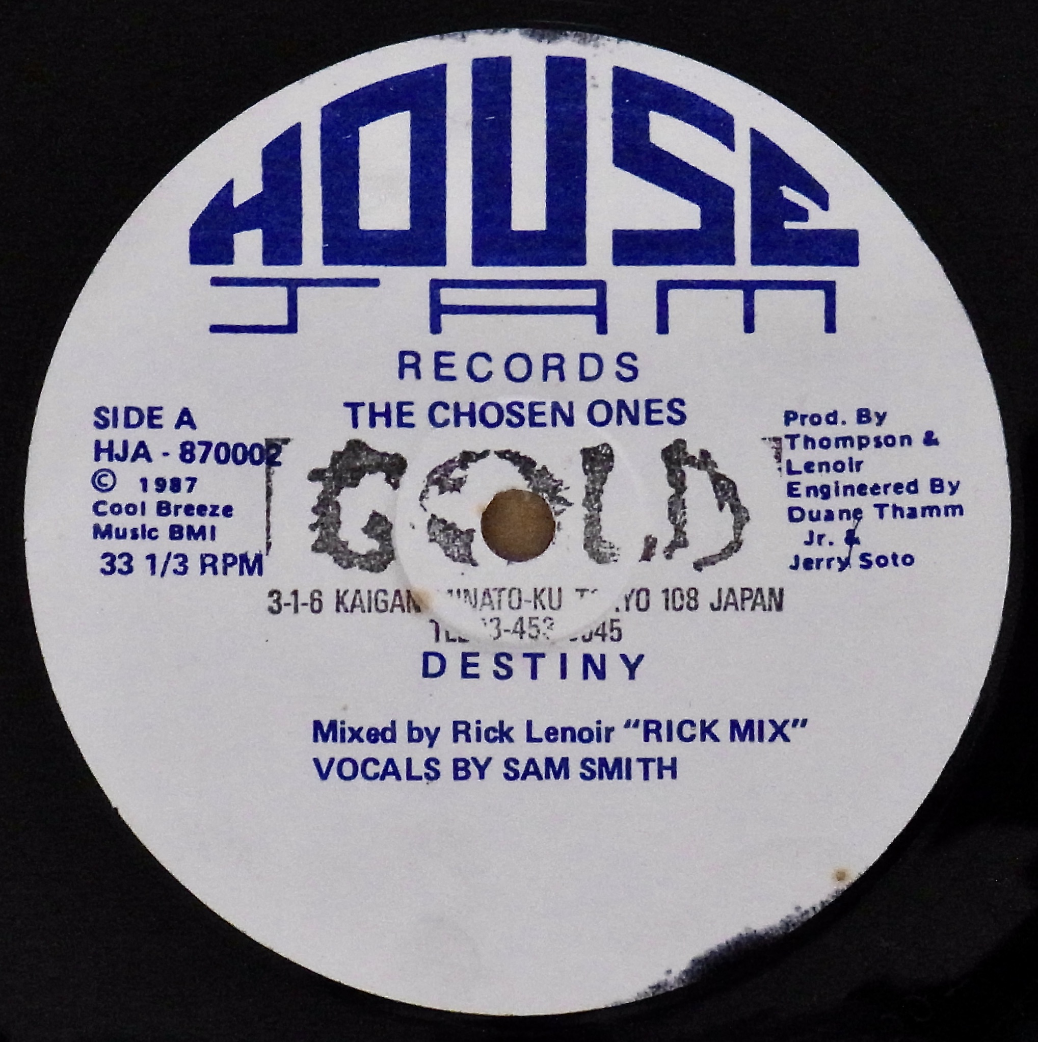 THE CHOSEN ONES / Destiny