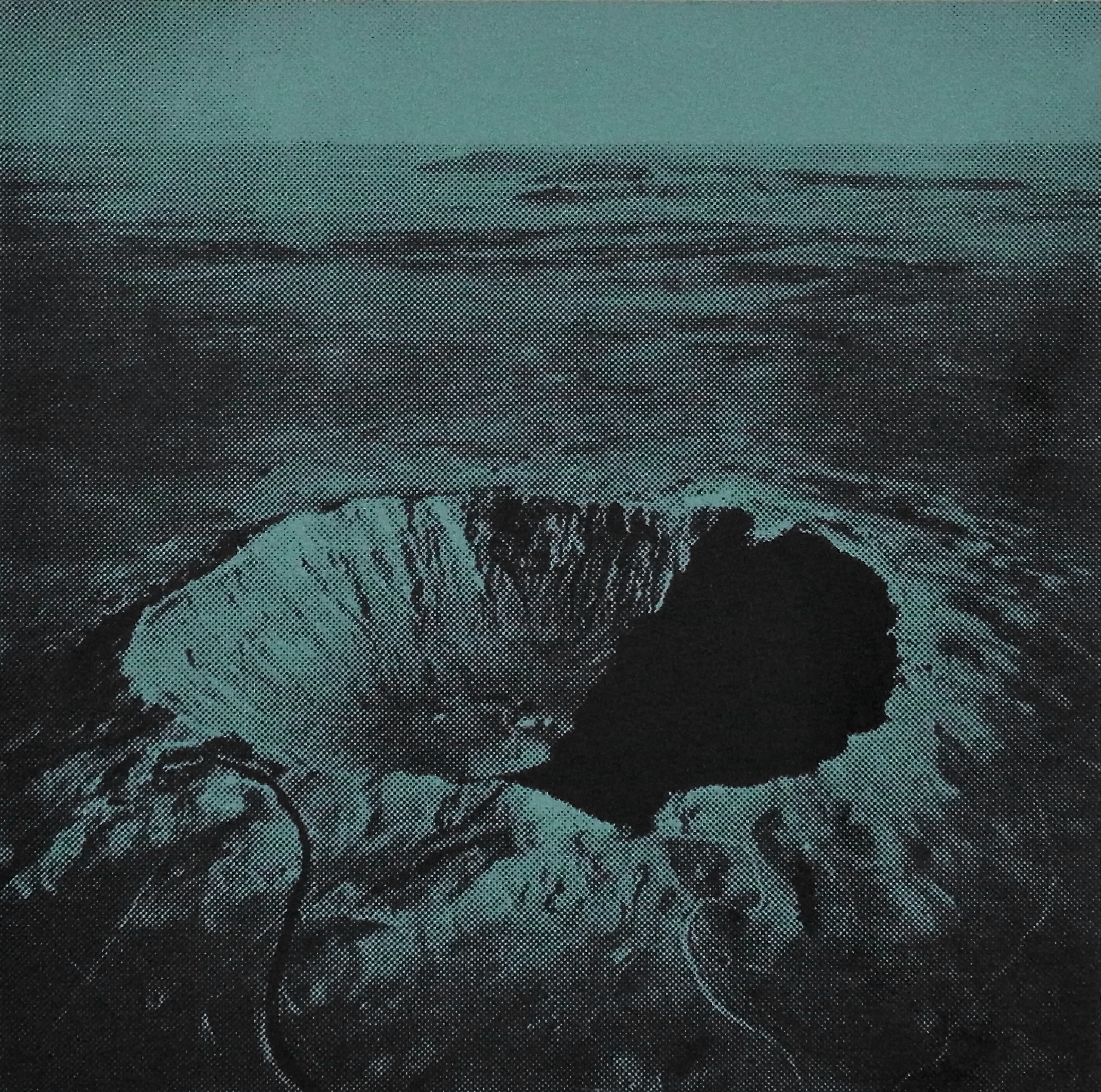 MONEY MARK / Performing Chicken