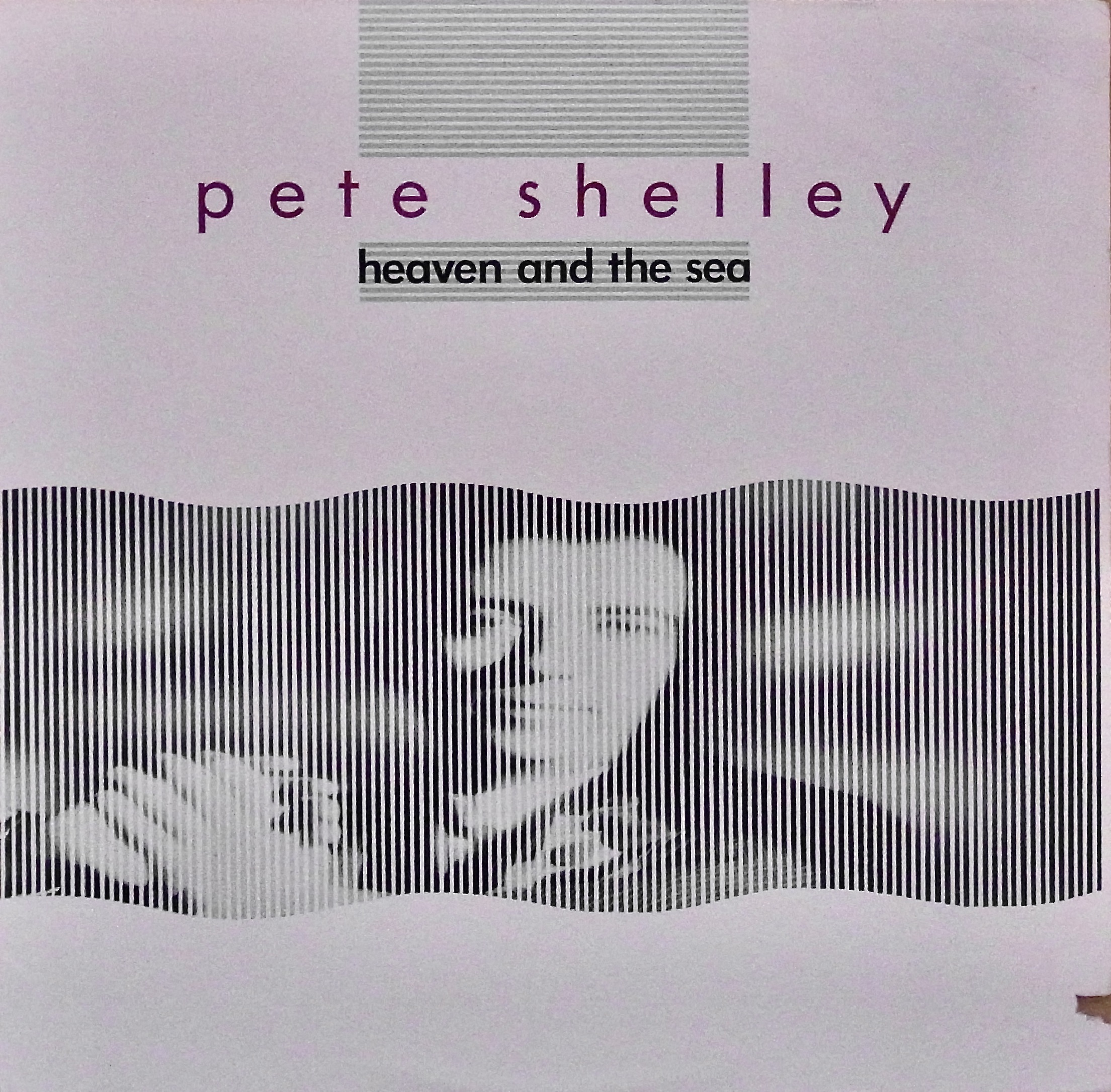 PETE SHELLEY / Heaven And The Sea