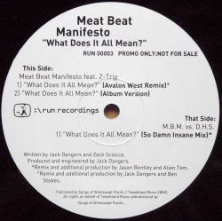 MEAT BEAT MANIFESTO / What Does It All Mean?