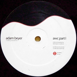 ADAM BEYER / A Walking Contradiction