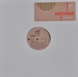 A HUNDRED BIRDS / Batonga