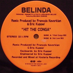 PARADISE YAMAMOTO & TOKYO LATIN MOOD DELUXE Featuring BELINDA SUNRISE / Hit The Conga