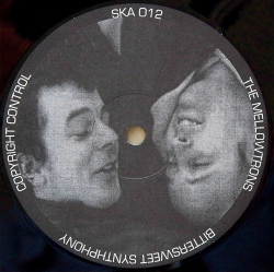 THE MELLOWTRONS ・ MEAT BEAT MANIFESTO / The Mellowtrons ・ Meat Beat Manifesto