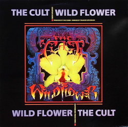 THE CULT / Wild Flower