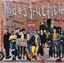 V.A. / Indestructible The Indomitable Face Of New Wave