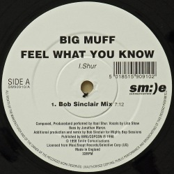 BIG MUFF / Feel What You Know