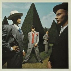 THE BLOW MONKEYS / This Is Your House