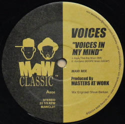 VOICES / Voices In My Mind
