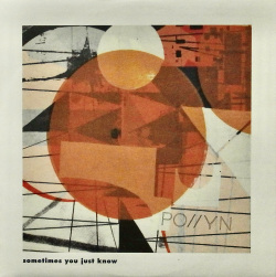 POLLYN / Sometimes You Just Know