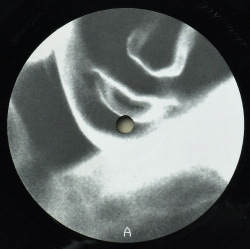 OLIVER HO / Metaphor