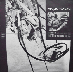 AMON TOBIN / Bloodstone