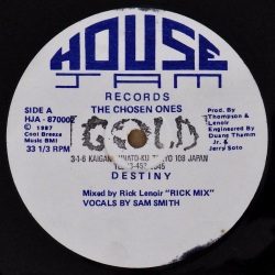 THE CHOSEN ONES / Destiny