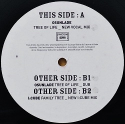 OSUNLADE ・ I:CUBE / Versatile Family Sampler