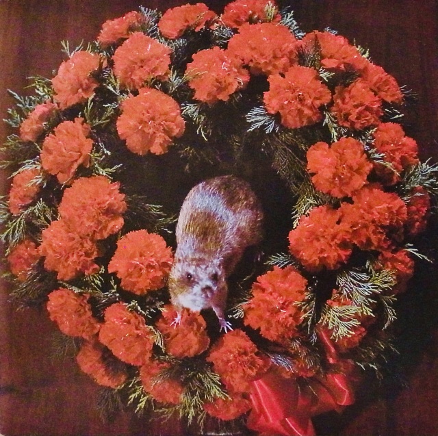 THE STRANGLERS / No More Heroes