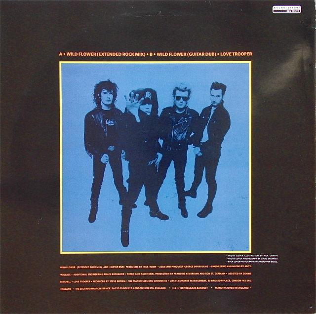 THE CULT / Wild Flower