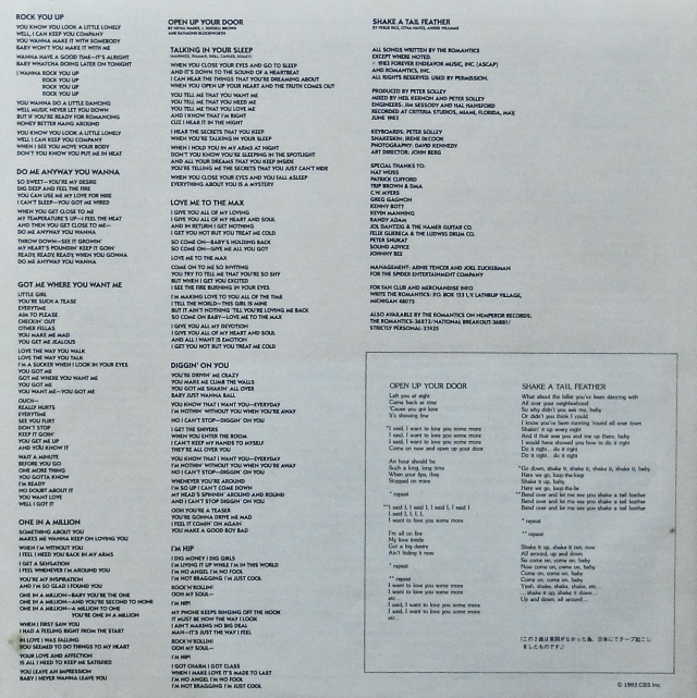 THE ROMANTICS / In Heat