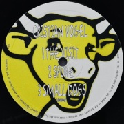 CRISTIAN VOGEL / The Visit