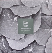TECHNASIA / Evergreen