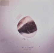 MATTHIAS WAGNER / Archive 55 EP