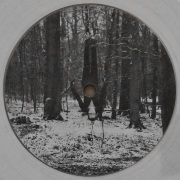 SVRECA / Obscur. Alternative