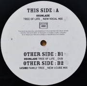 OSUNLADE ・ I:CUBE / Versatile Family Sampler