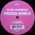 PETER GRUMMICH / Frozen World