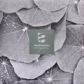TECHNASIA / Evergreen