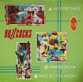 BUZZCOCKS / Parts 1-3