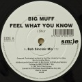 BIG MUFF / Feel What You Know