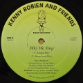 KENNY BOBIEN AND FRIENDS / Why We Sing