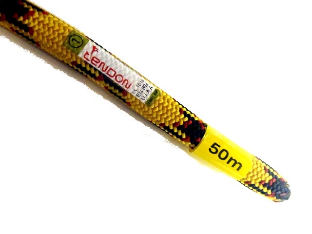 テンドン　マスター