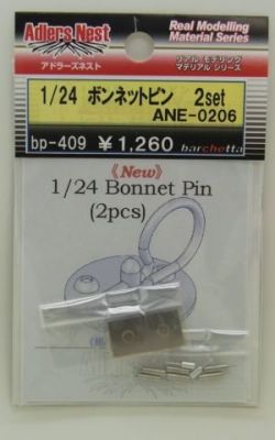 bp409.JPG
