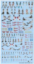 art-dc16   1/72 1/48 NOSE ART QUEEN　（MODELKASTEN:DECAL）