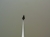 bp692_09.jpg