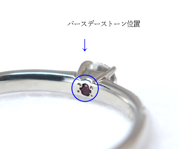エバーキス30004