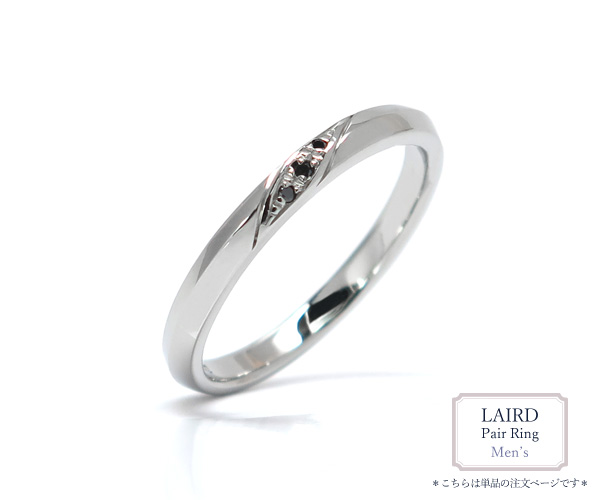 LAIRDステンレスペアリング
