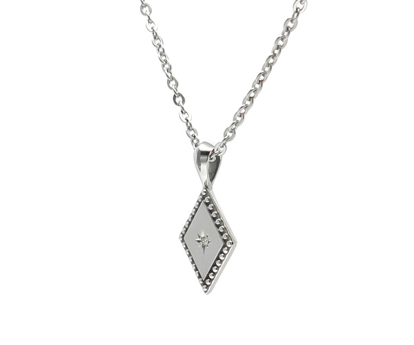 LAIRDステンレスネックレス