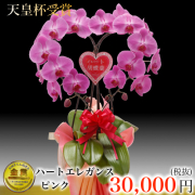 ハート大輪胡蝶蘭ピンク