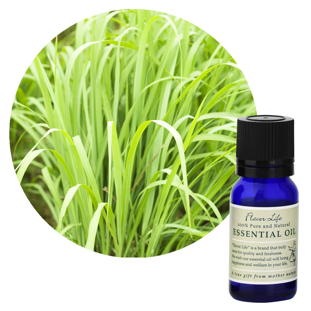 Fl 精油 レモングラス 10ml ココ ブルーシー Fl 精油 レモングラス 10ml ココ ブルーシー