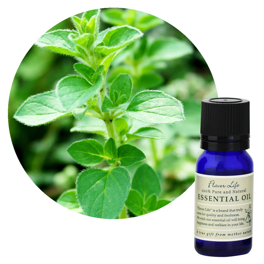 FL 精油 マジョラムスイート 10mL