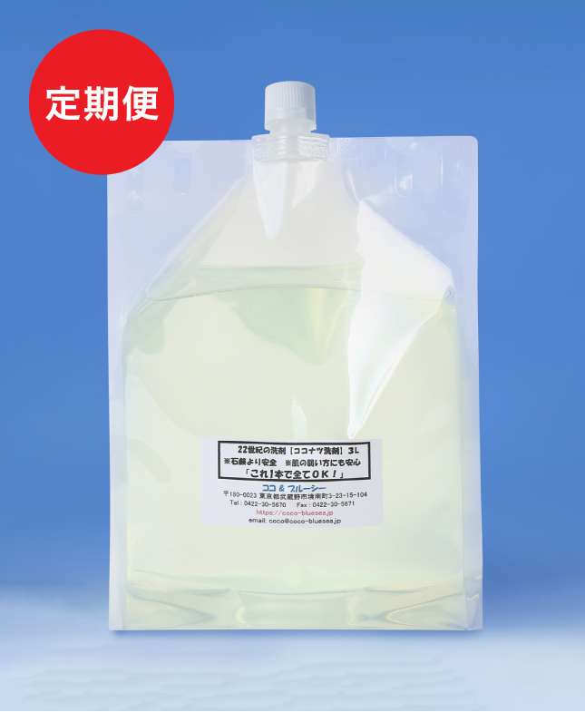 定期購入・ココナツ洗剤　エコパック　３リットル