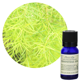 //image1.shopserve.jp/coco-bluesea.jp/pic-labo/llimg/essential_product_sp03.jpg?t=20260424233128