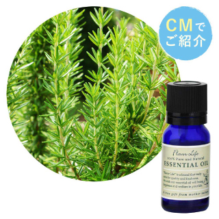 //image1.shopserve.jp/coco-bluesea.jp/pic-labo/llimg/essential_product_sp05.jpg?t=20260907200842