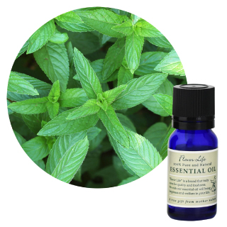 //image1.shopserve.jp/coco-bluesea.jp/pic-labo/llimg/essential_product_sp07.jpg?t=20260424233128