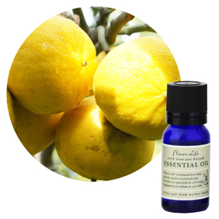 アソート販売・FL 精油 ベルガモット-FCF 10mL