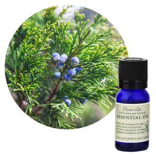 アソート販売・FL 精油 ジュニパーベリー　10mL