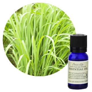 //image1.shopserve.jp/coco-bluesea.jp/pic-labo/llimg/essential_product_sp10.jpg?t=20260424233128