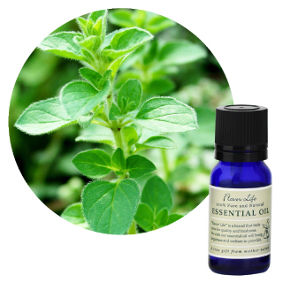 アソート販売・FL 精油 マジョラムスイート 10mL